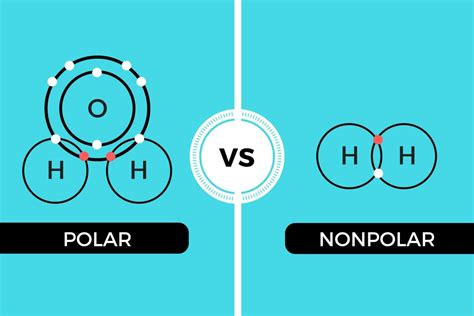Learn how water's polarity and hydrogen bonding allow it to dissolve many polar and ionic substances, but not nonpolar ones. See examples, diagrams and questions about water's solvent properties.
